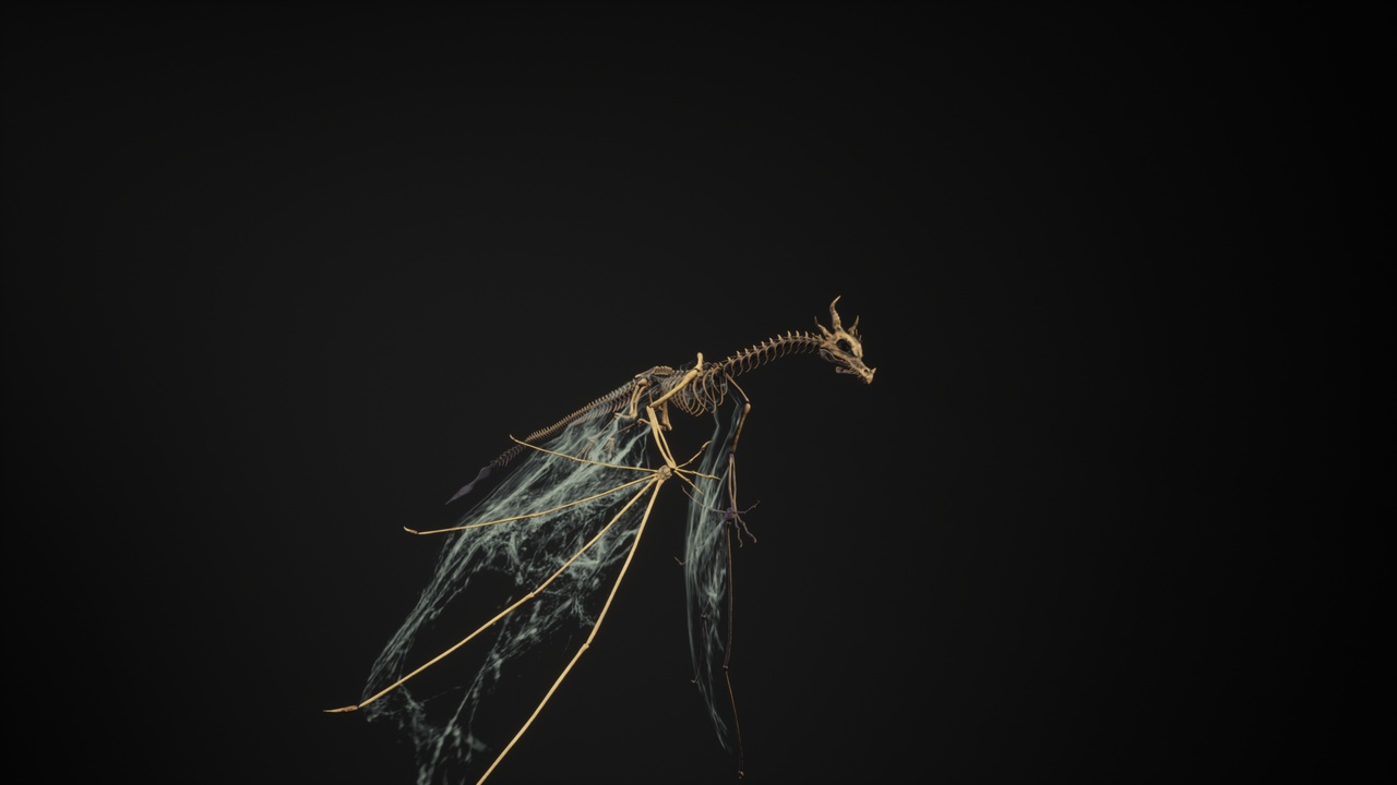 Media 1 for listing Dragon (Wyvern) skeleton