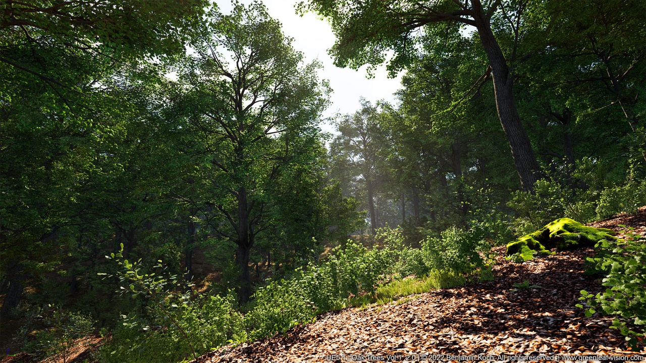 Media 1 for listing Trees: Oak Forest - Vol. 1 (Extreme Realistic Wind)