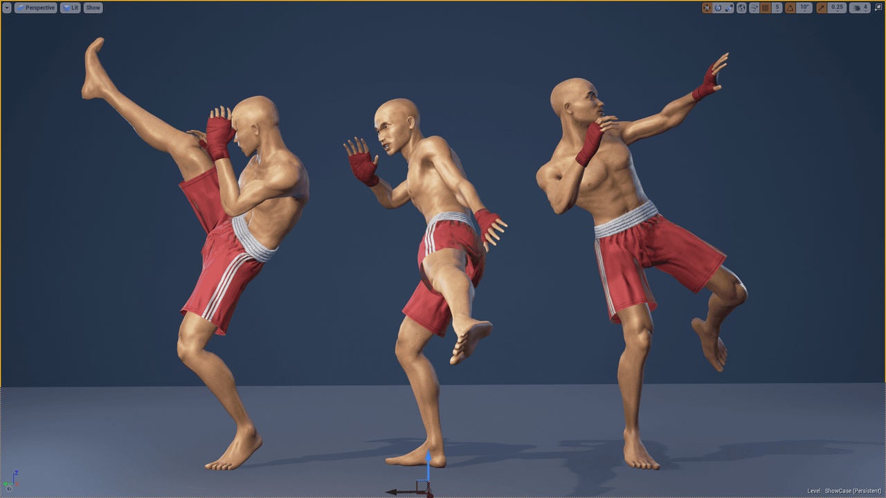 Media 1 for listing Thai Boxer