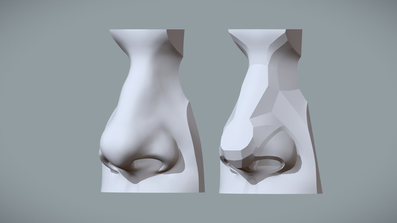 Media 1 for listing Shapes & Planes of the Nose