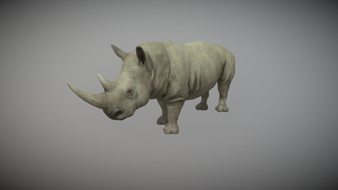 Media 1 for listing Realistic Rhino | Rigged with 25+ Animations