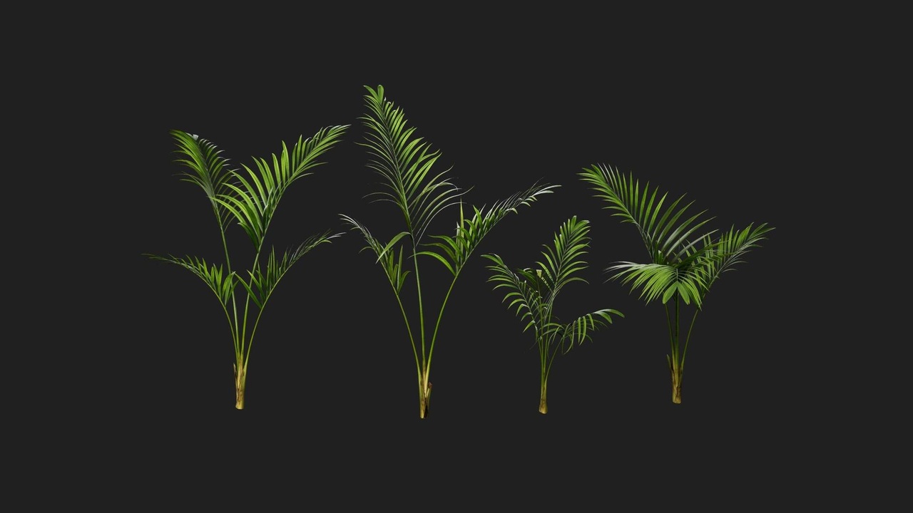 Media 1 for listing Alexandra Palm