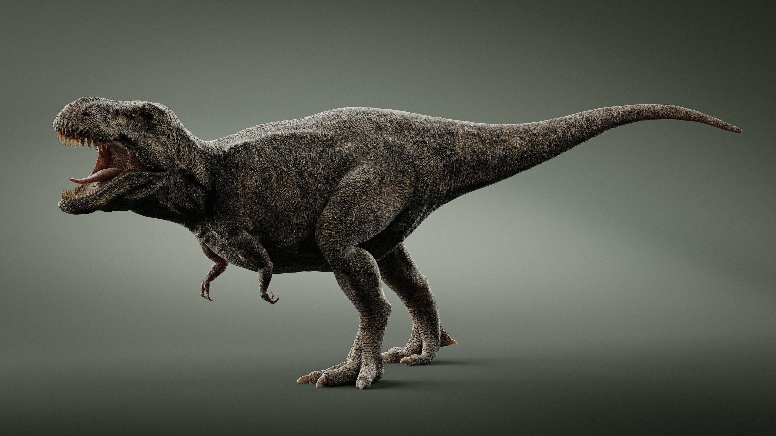 T-Rex | 8K | Animated 제품 등록을 위한 미디어 1개