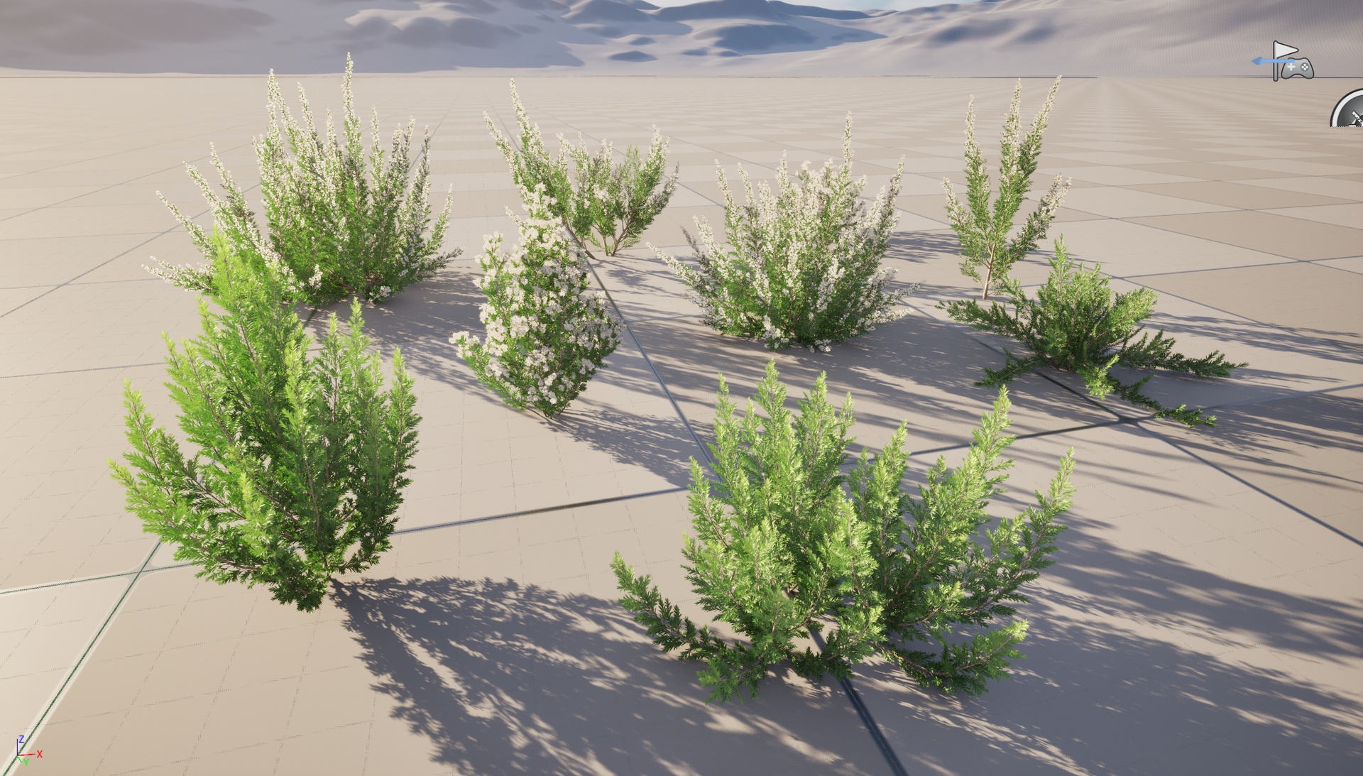 Media 1 for listing Nanite Wind Plants - Erica Arborea - Tree Heath