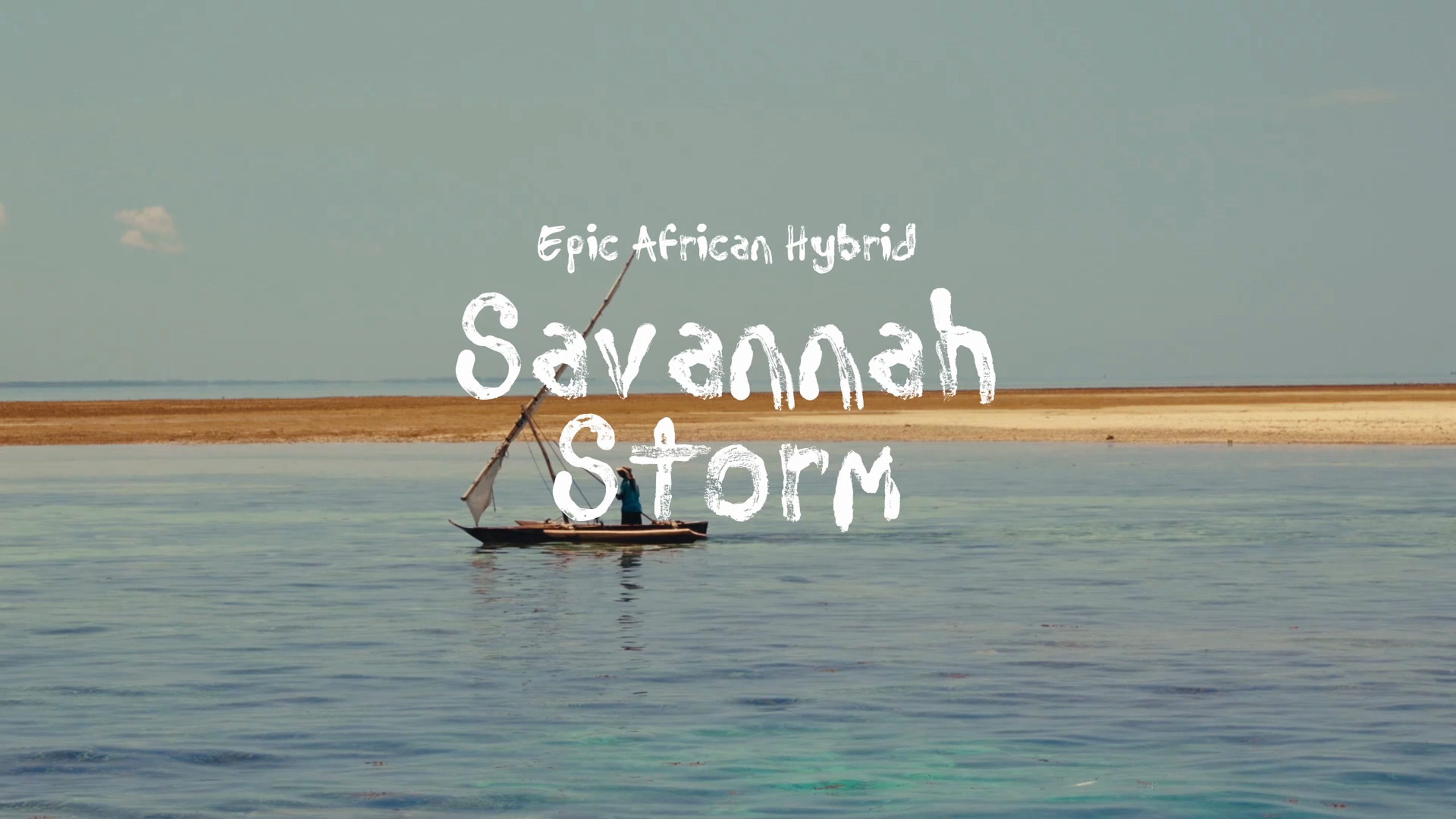 Media 1 for listing Savannah Storm / Epic African Hybrid
