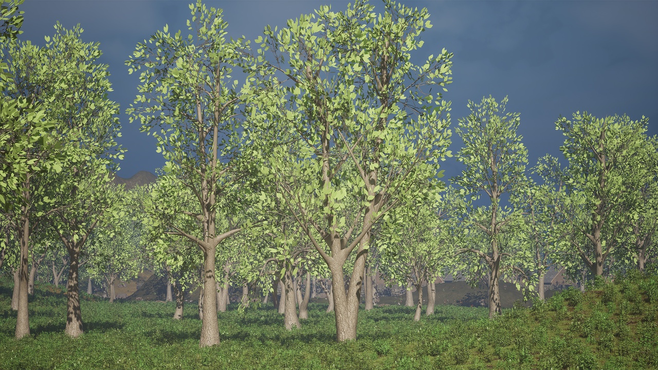 Realistic Low Poly Tree Pack 16M | Fab