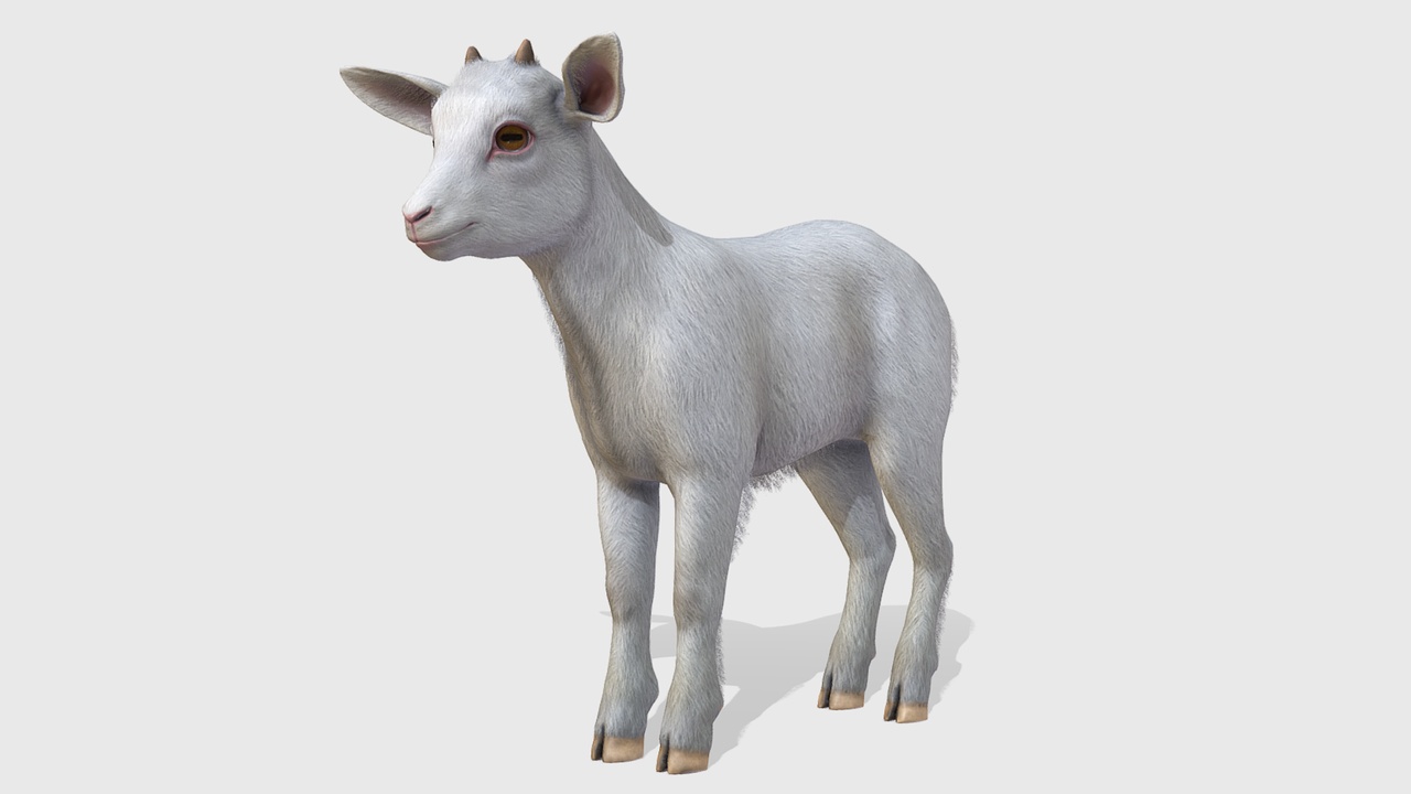 Media 1 for listing Goatling