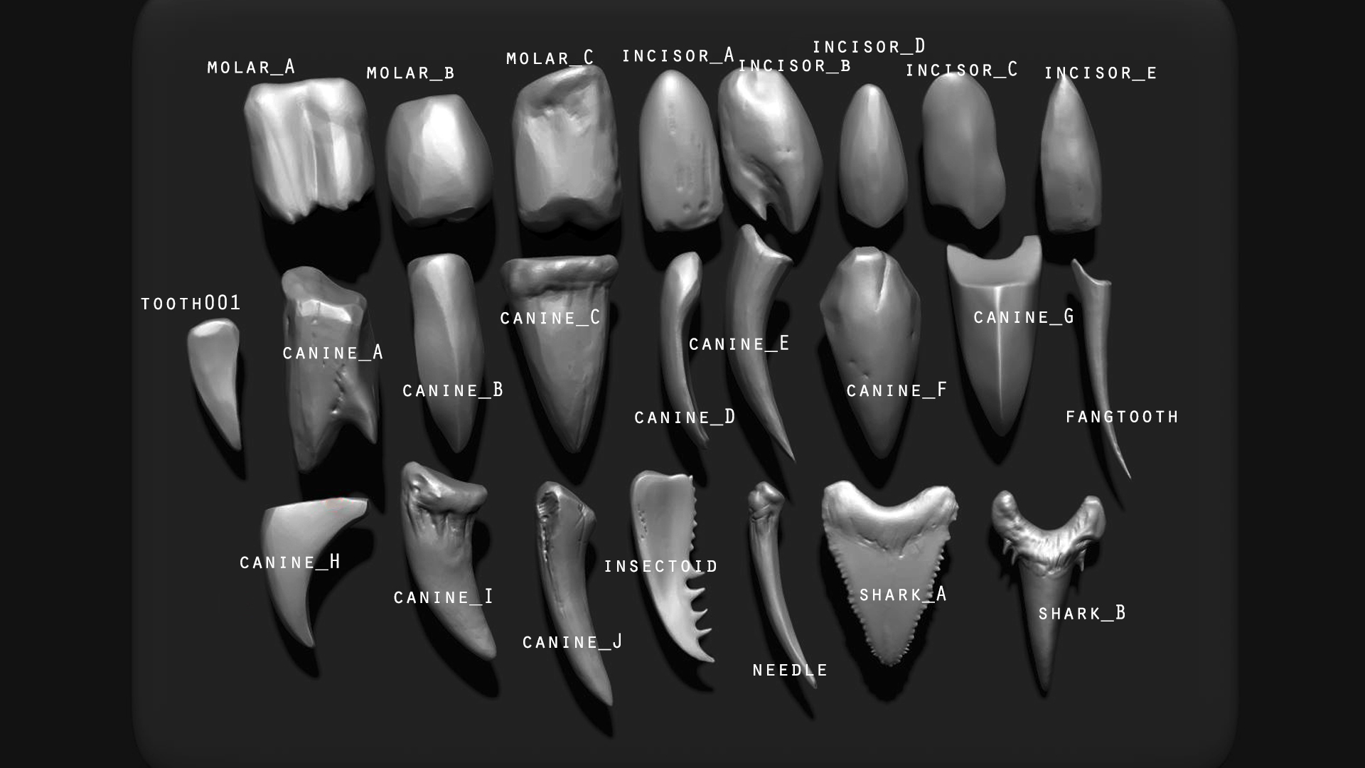 TEETH - Zbrush 24 Assorted Teeth IMM Brush | Fab
