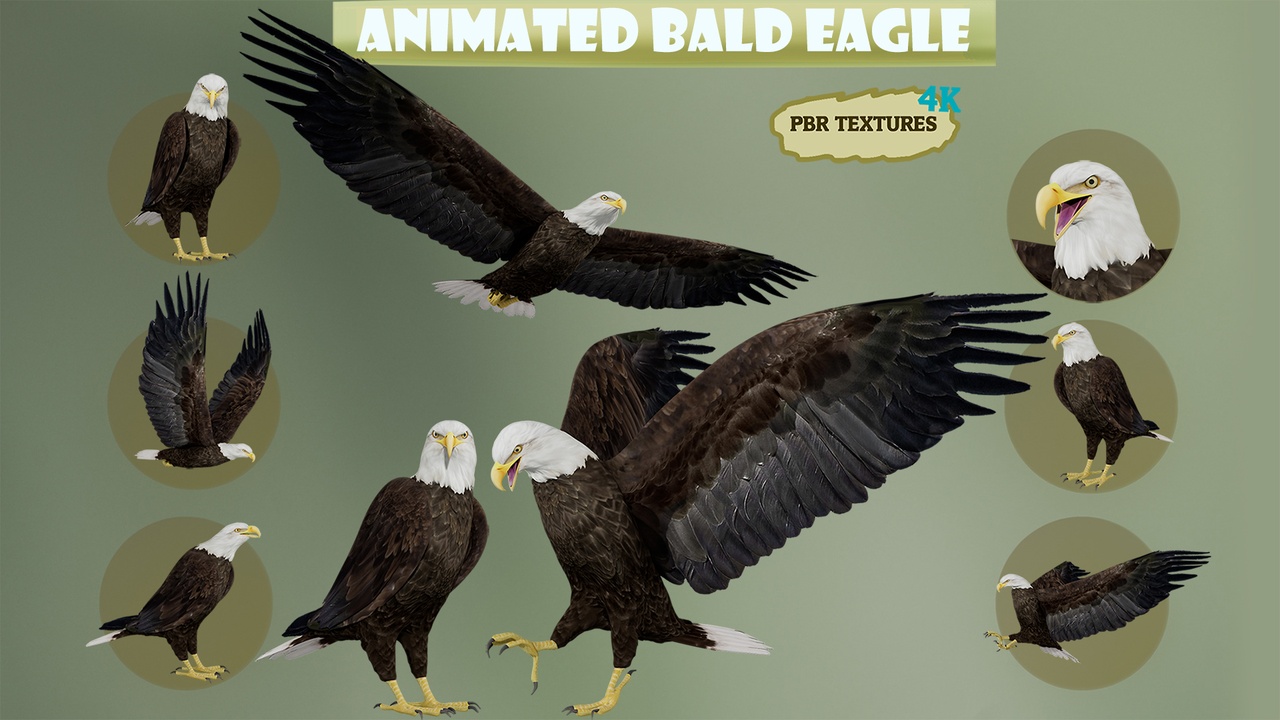 Media 1 for listing Realistic Animated Bald Eagle