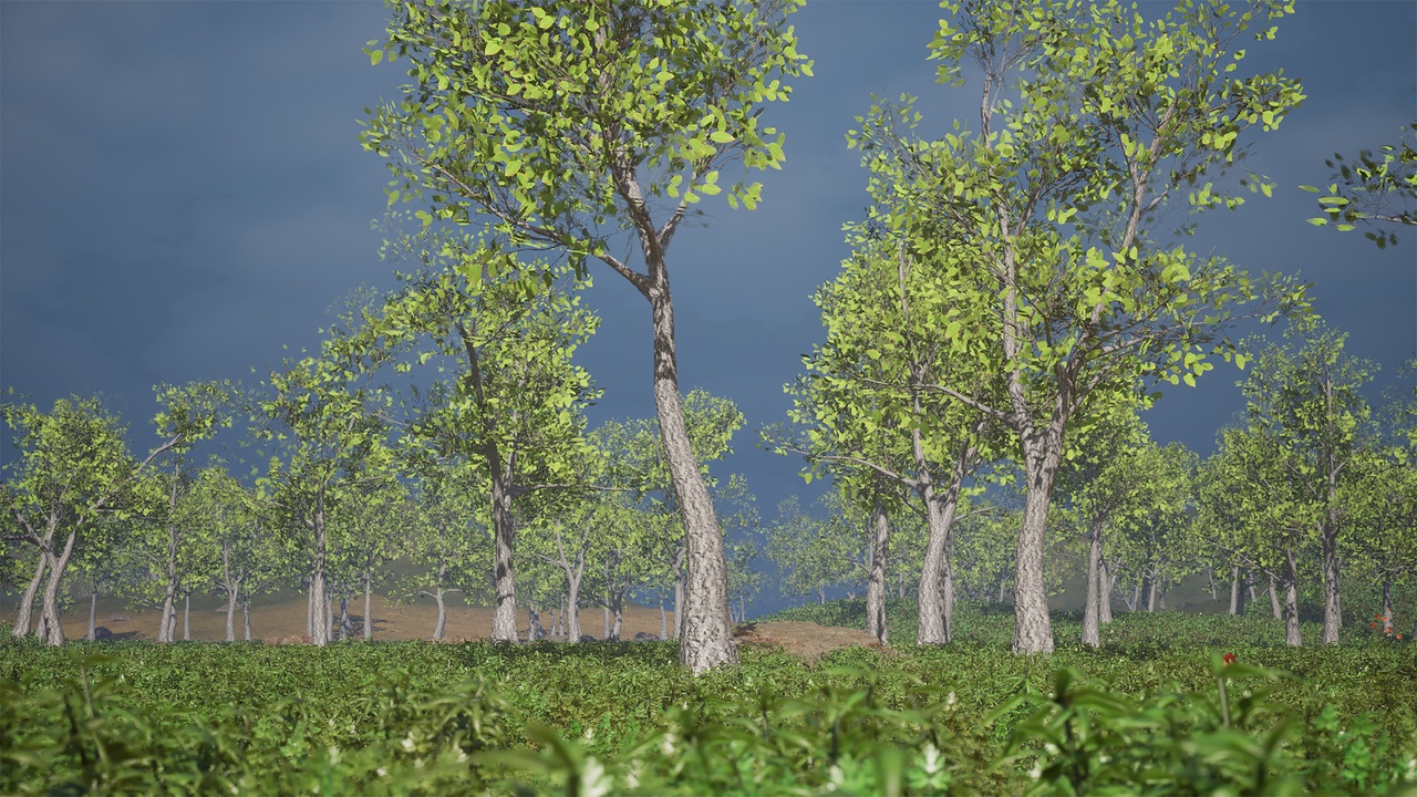 Media 1 for listing Realistic Low Poly Tree Pack 47M