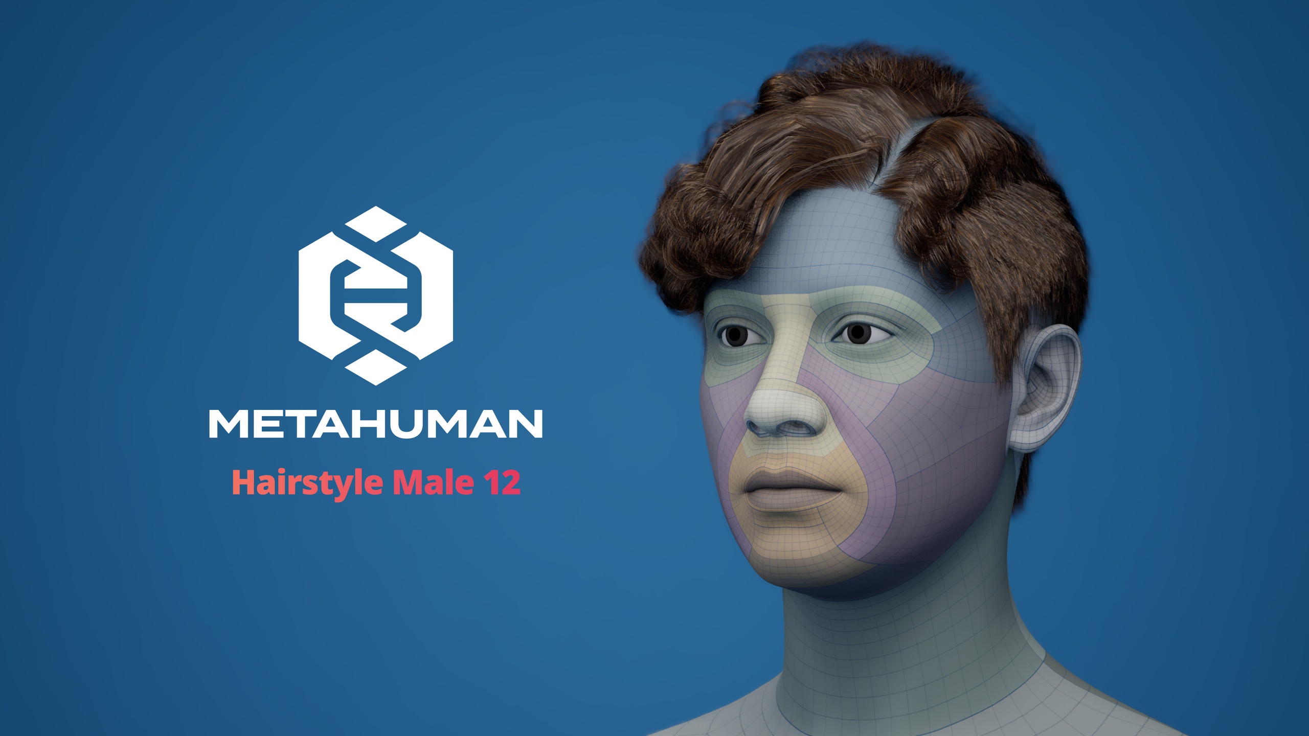 Media 1 for listing MetaHuman Hairstyle Male 12 Groom