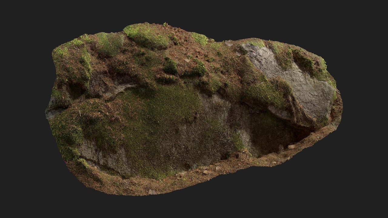 商品 Nordic Forest Ledge Rock Large 的媒体 1