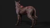 Asset image