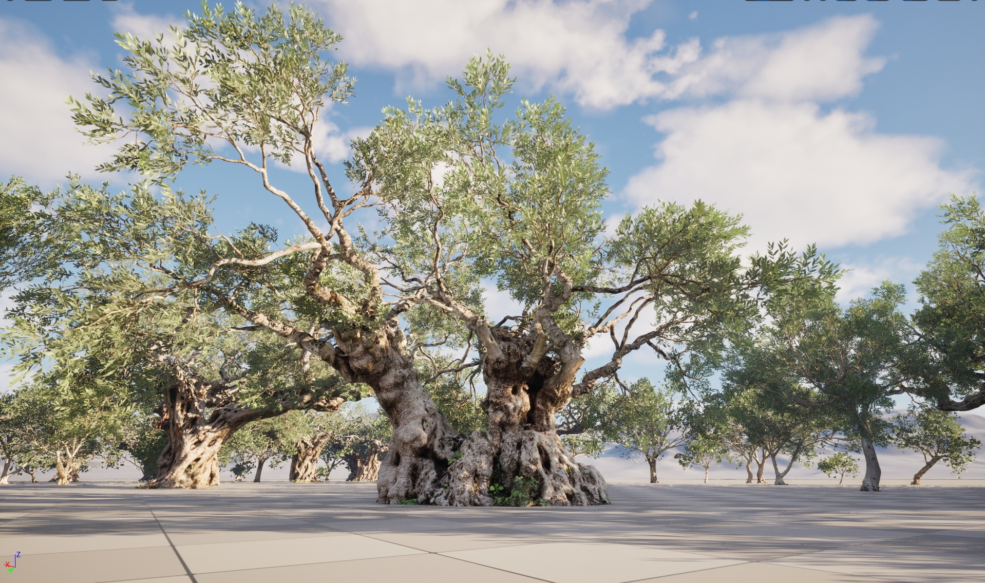 Media 1 for listing Nanite Wind Plants - Scanned Olea europaea - Common olive Pack (09-19)
