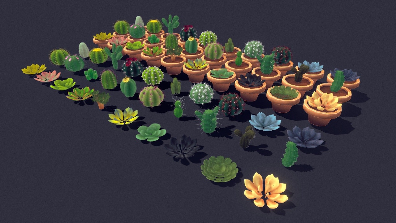 Media 1 for listing Succulent Plant Pack 02