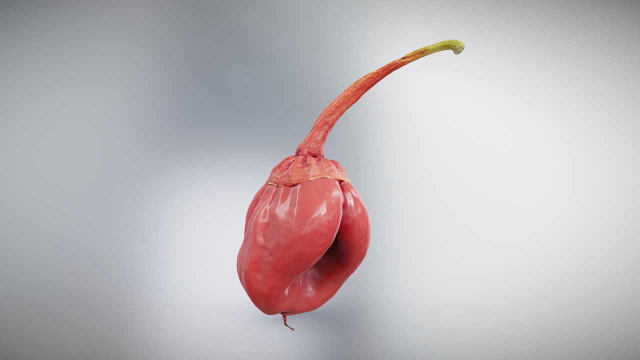 Media 1 for listing 7 Pot Bubblegum Pepper or Capiscum chinense or Bleeding Bubblegum or BBG7