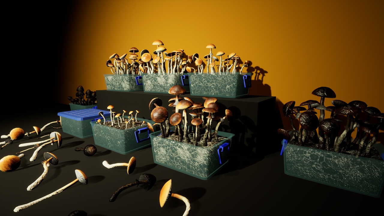 Media 1 for listing Home Mushroom Growing Kit β Modular 3D Asset Pack