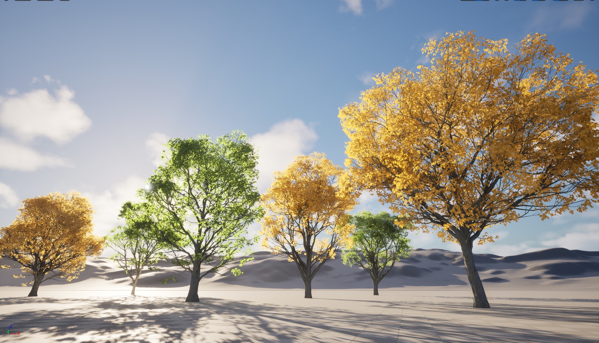 Media 1 for listing Nanite Wind Plants - Celtis australis - European nettle tree