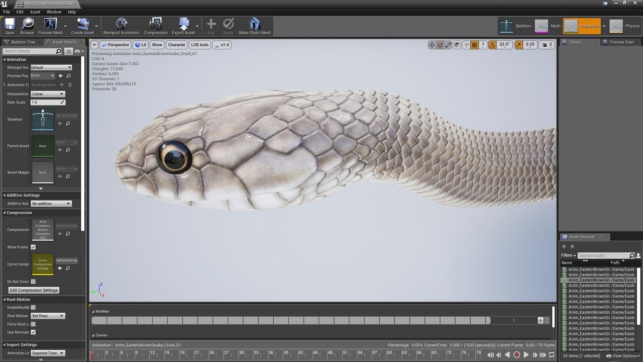 Media 1 for listing Eastern Brown Snake