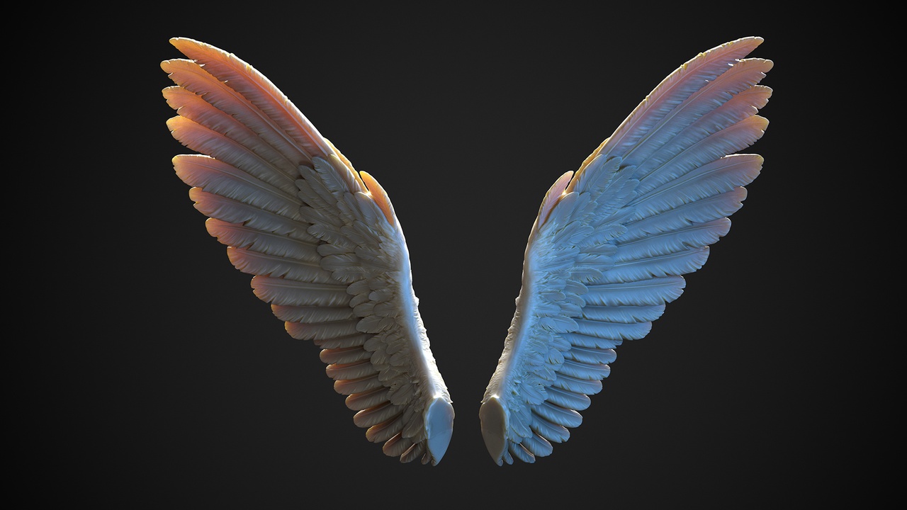 Media 1 for listing Wings - 5  I 3D Sculpting