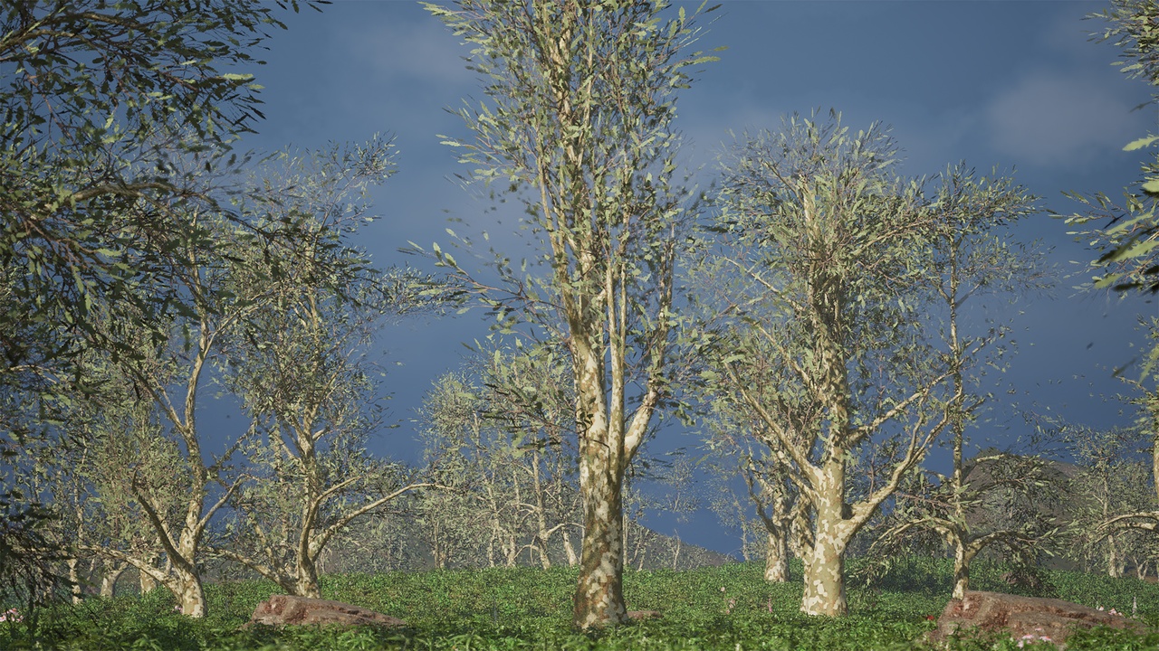 Media 1 for listing Realistic Low Poly Tree Pack 50M
