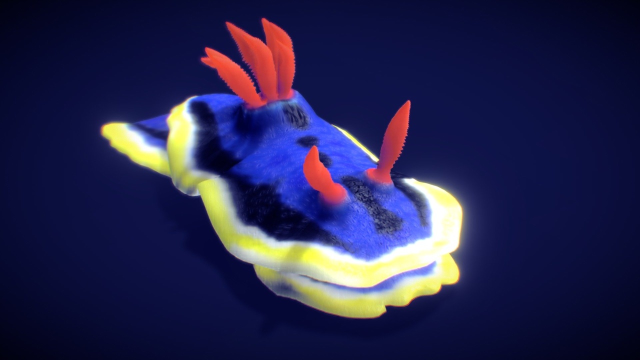 Sea Slug — Chromodoris Annae | Fab