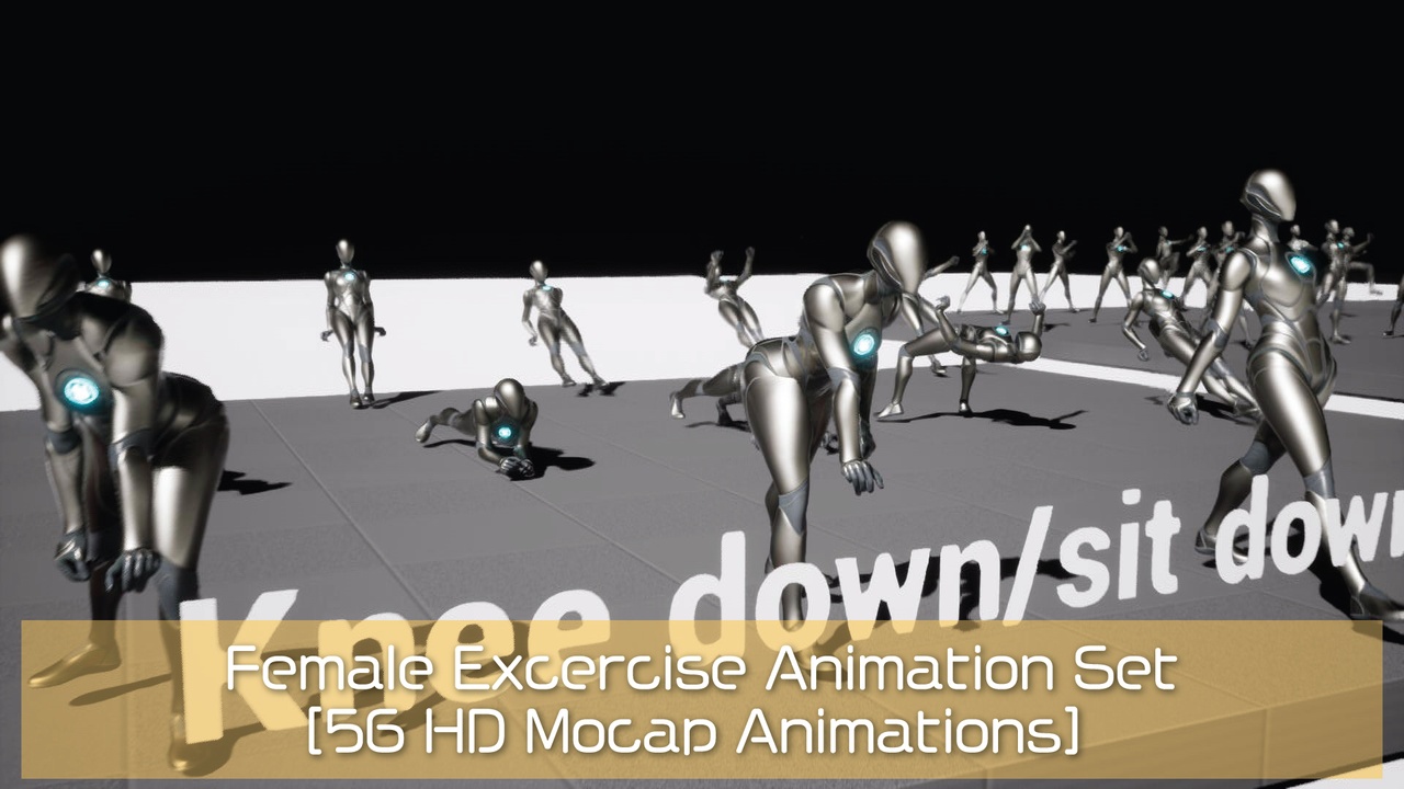 商品 Female Exercise [56 HD Mocap Animations] 的媒体 1