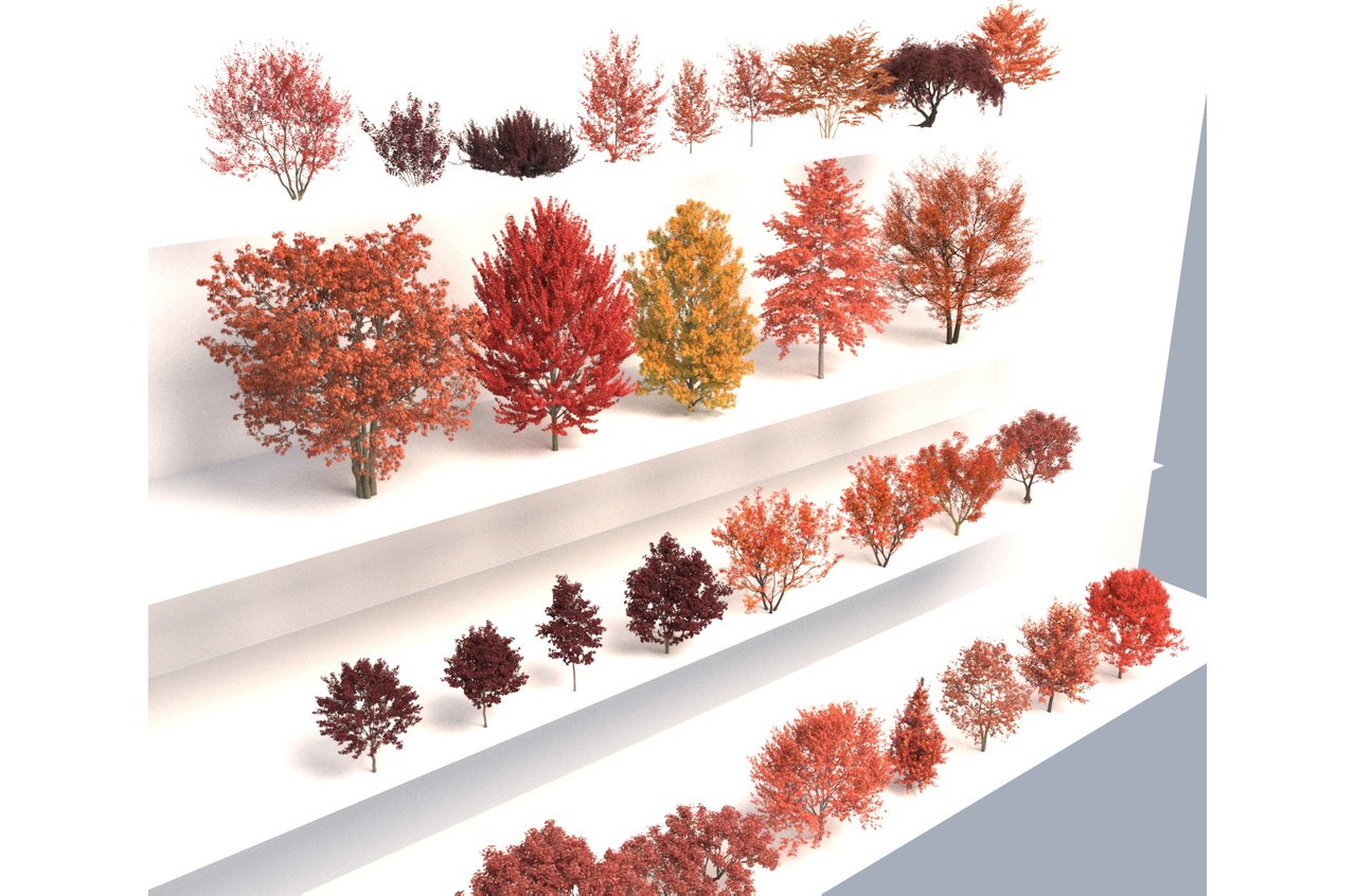 Media 1 for listing Realistic Autumn Red Leaf Tree 3D Asset Pack