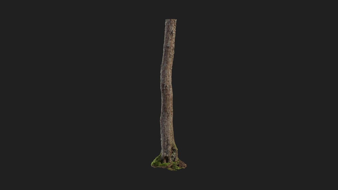商品 Alder Tree Trunk 的媒体 1