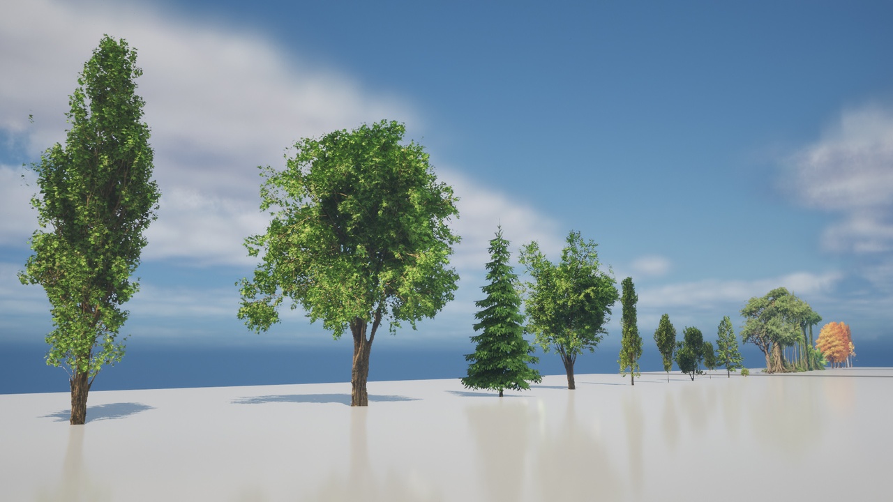 Media 1 for listing Billboard Trees – Poplar Forest Pack