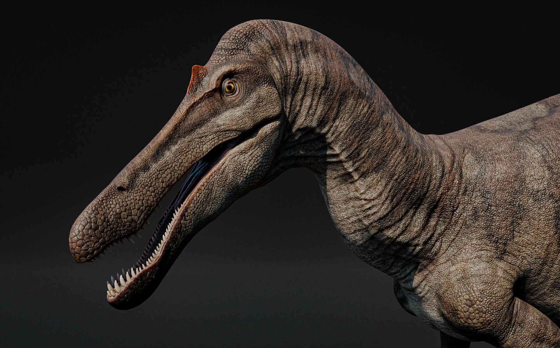 Media 1 for listing Suchomimus - Animated Dinosaur