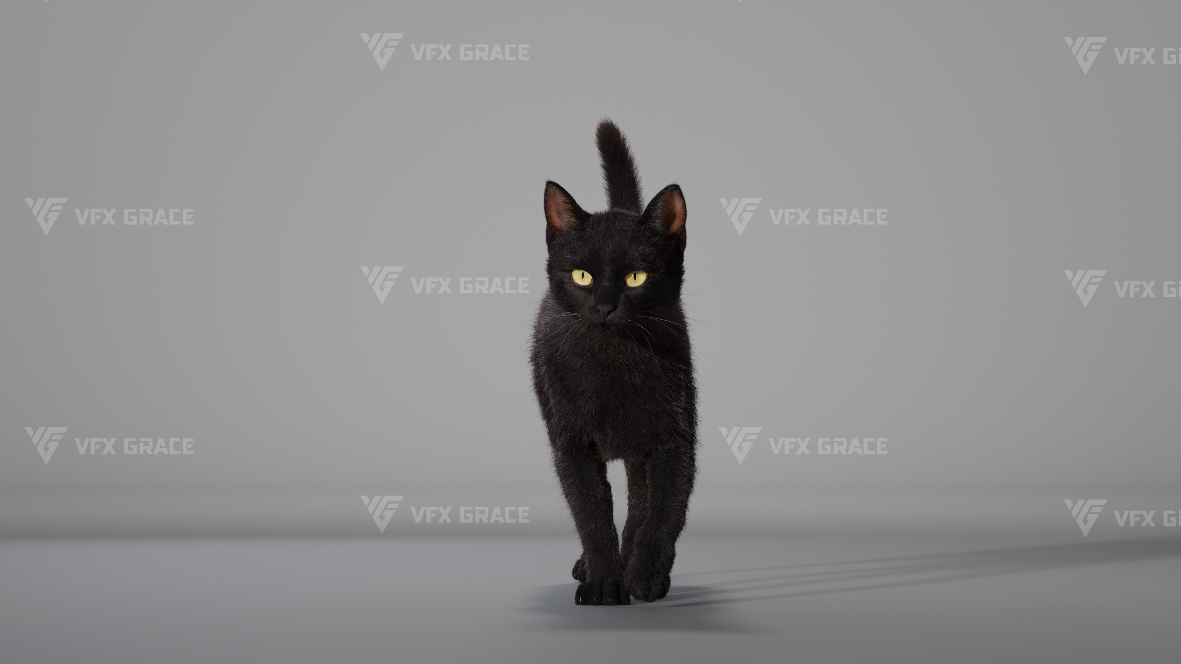 Black Cat Animation | VFX Grace | Fab