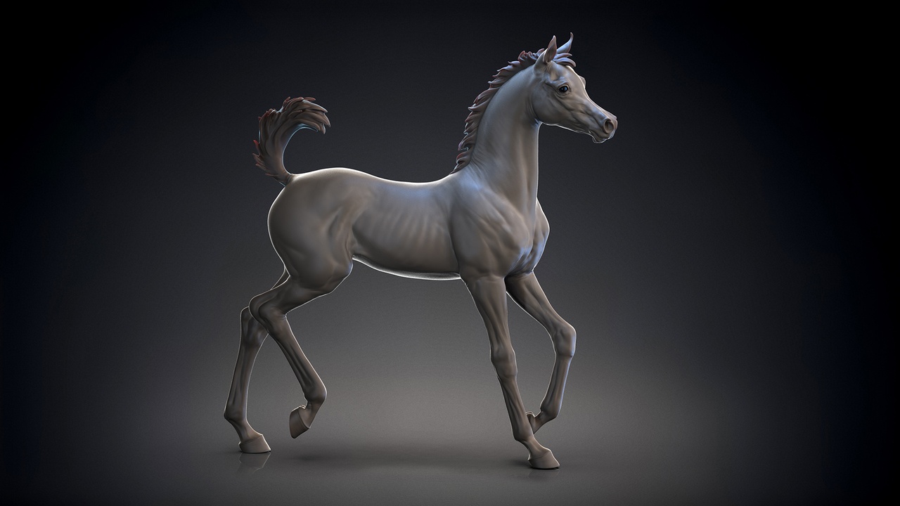 Media 1 for listing Arab Foal run | 3D Sculpting