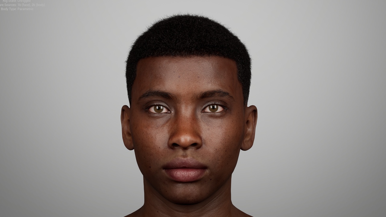 Media 1 for listing Short Coily Afro Low Fade – MetaHuman Groom