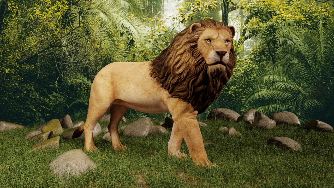 Media 1 for listing Realistic Lion Wild Animal