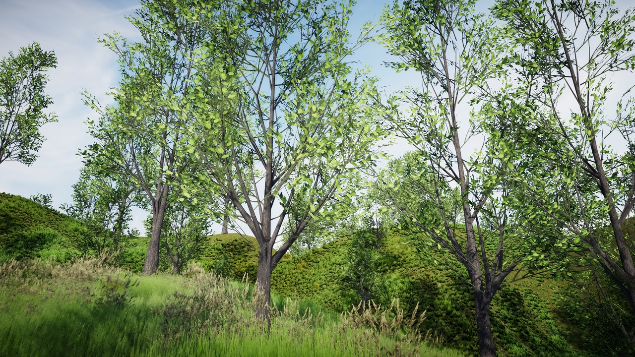 Media 1 for listing Desktop Trees Bundle 4 (PC/Console)
