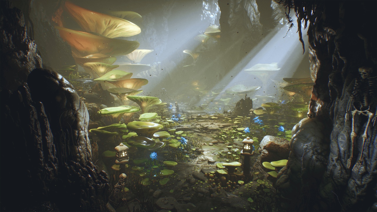 Média 1 pour l'article Deep Elder Caves