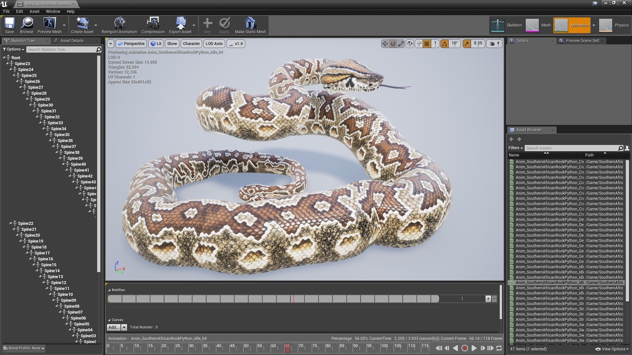 Media 1 for listing Southern African Rock Python