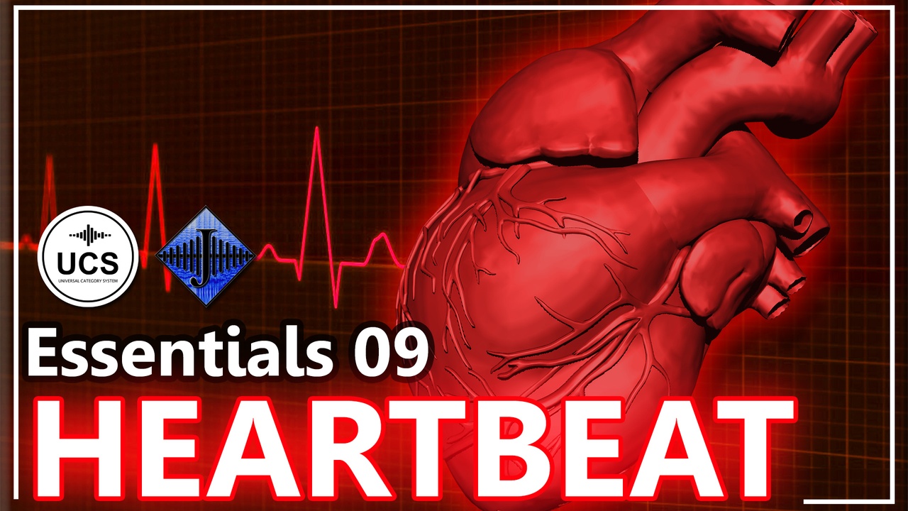 Media 1 for listing SFX Essentials 09 HEARTBEAT