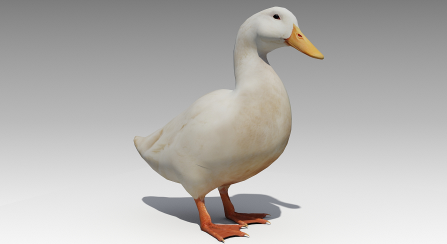 Duck Animated | Fab