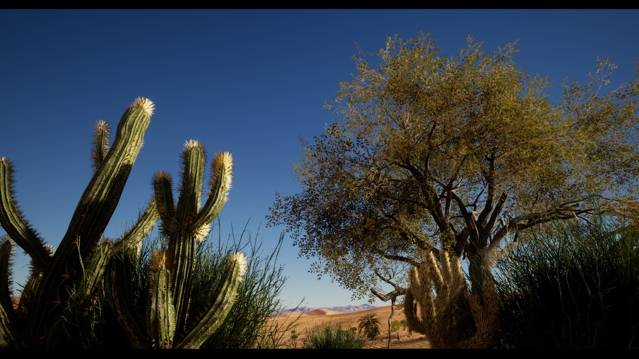 Media 1 for listing Desert cactuses and folliage