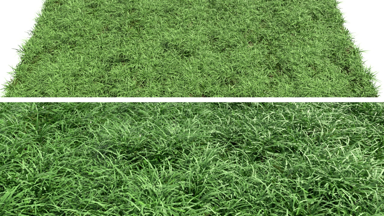 Media 1 for listing Photorealistic Green Lawn - High-Density Exterior Grass Geometry