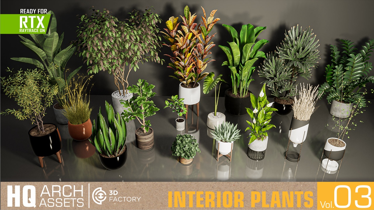 Media 1 for listing HQ Interior Plants Vol. 3