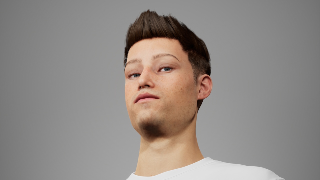 Media 1 for listing MetaHair 221- Groom hair for Metahumans - With lowpoly version in additional