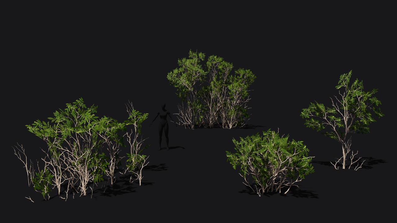 Medium 1 für Eintrag Ash tree  shrubs and saplings game ready low poly