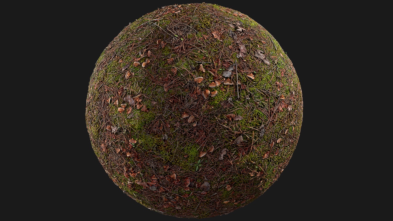 Mossy Forest Ground (epacvt) | Fab