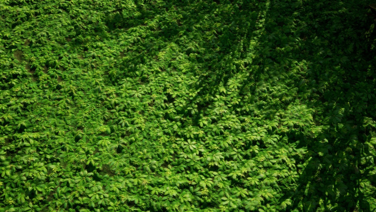 Media 1 for listing Grass Ground Material Vol.1