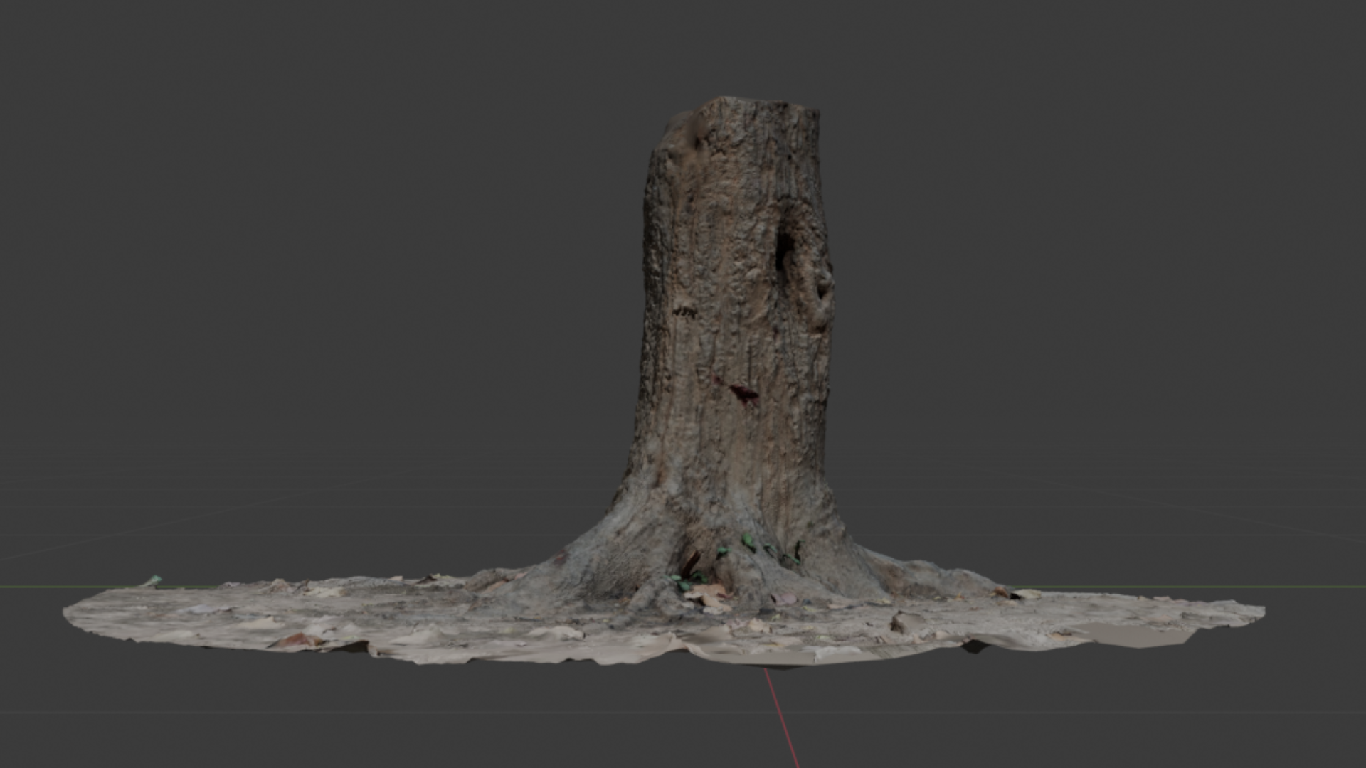 Tree Stump 3D scan | Fab