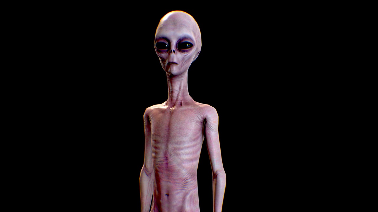 Media 1 for listing Realistic Alien 4