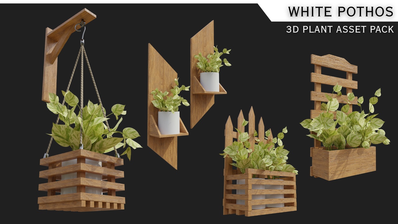 Medium 1 für Eintrag Indoor Plants with Pots: White Pothos